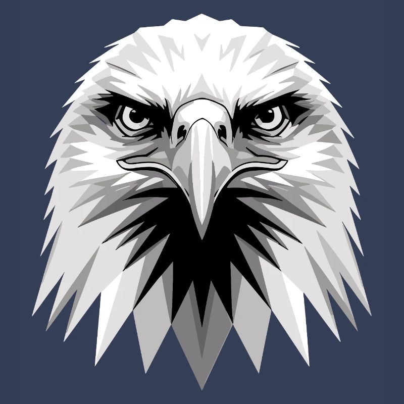 Eagle Bald Eagle Golden Eagle White-tailed Eagle