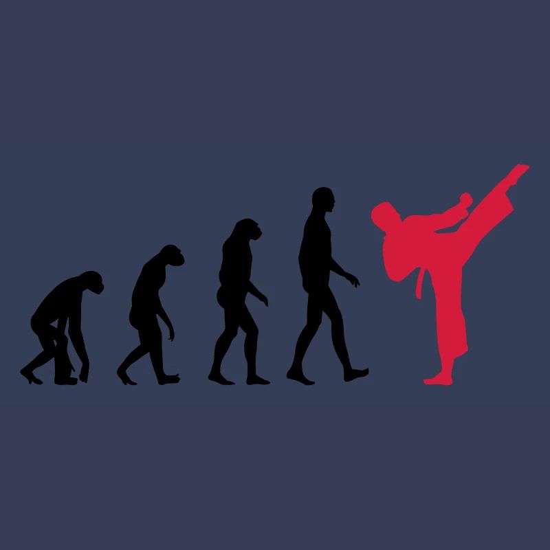 Karate - Evolution