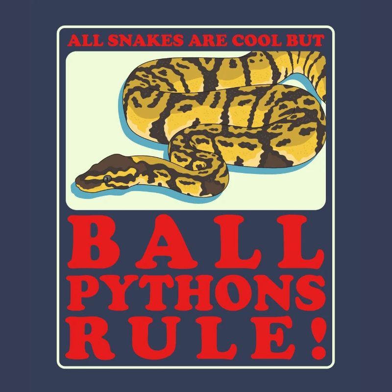 Königspython Python Schlange Geschenk