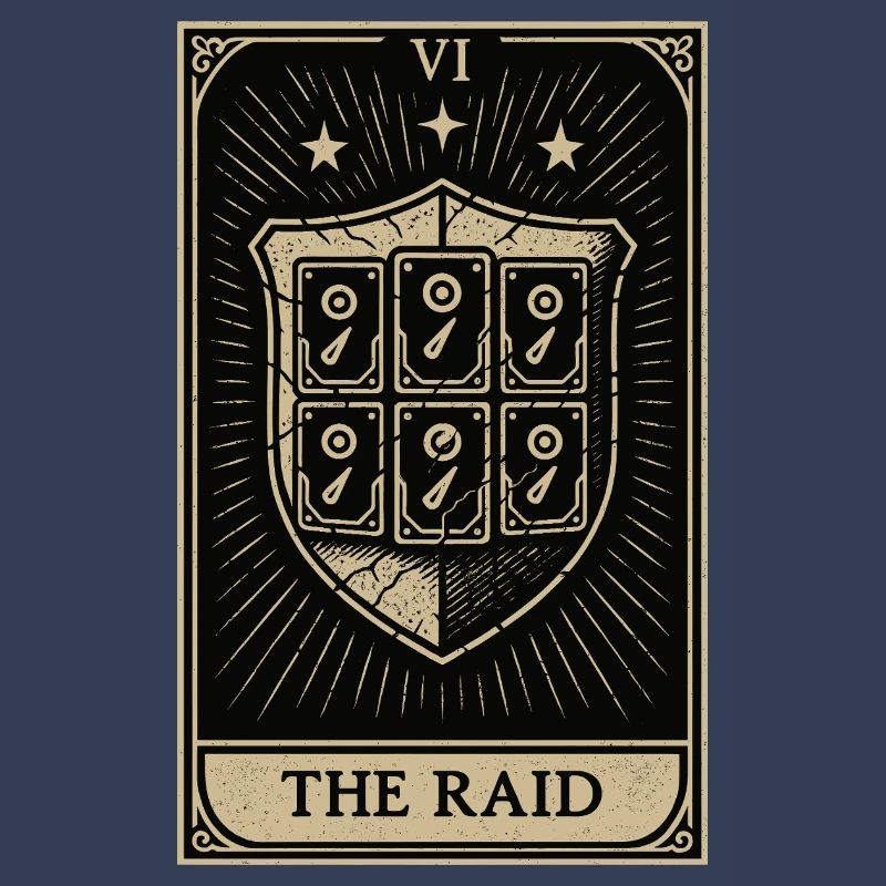 Tarot Datahoarding: Der RAID-Schutz