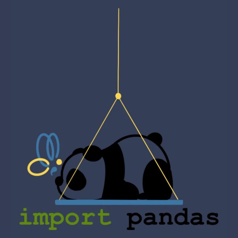 Python Jokes Import Pandas Programming