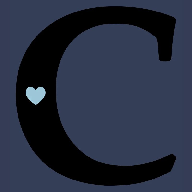 point (c) initial point