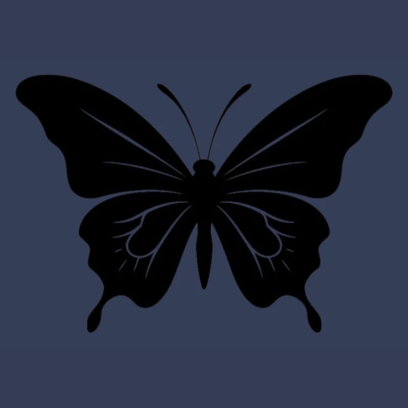 Papillon. papillon
