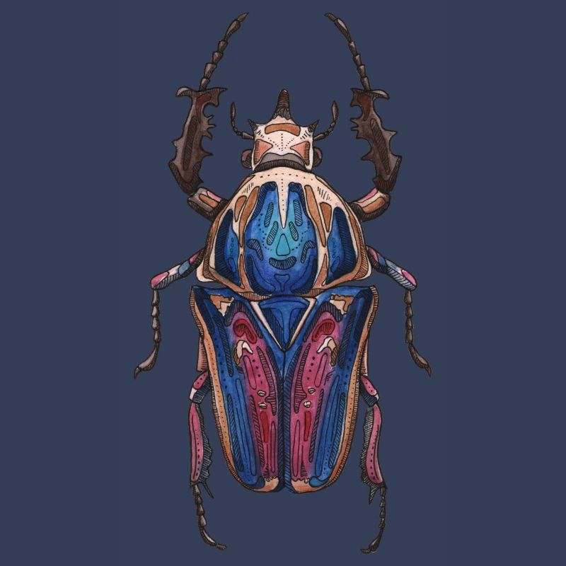 Big Beetle Stag - cerf géant