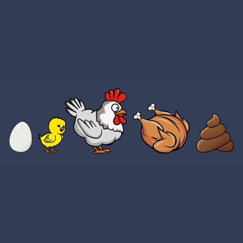 Évolution du poulet