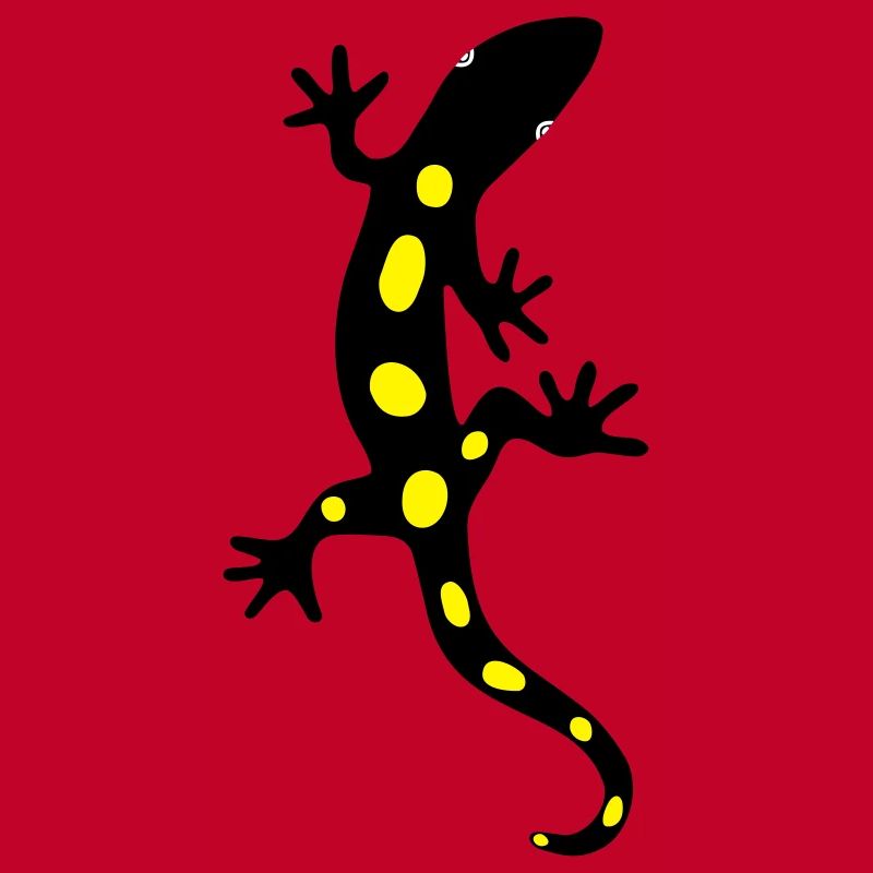Lizard Salamander Gecko Fire Salamander