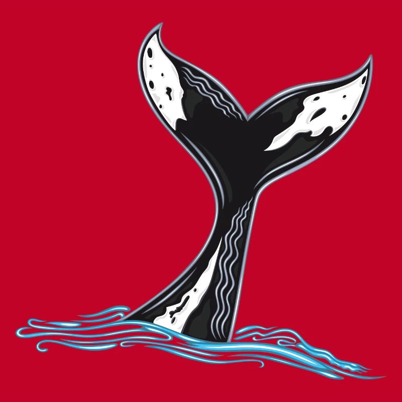 Rorqual commun