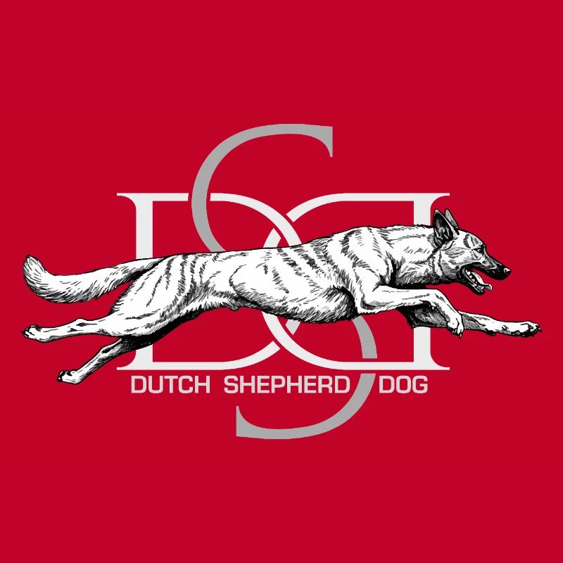 Dutchie - Holländischer Schäferhund