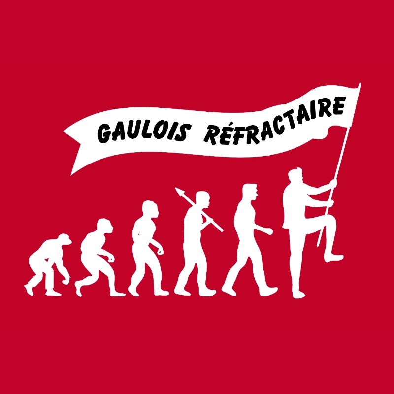 Evolution du gaulois réfractaire