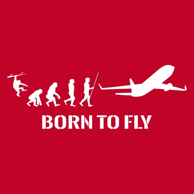 Airplane Evolution Pilot Flying Flying