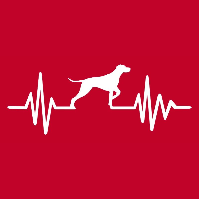 German Shorthaired Pointer