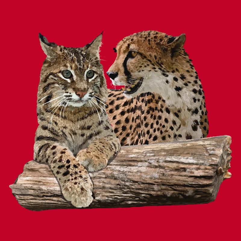 Lynx et guépard