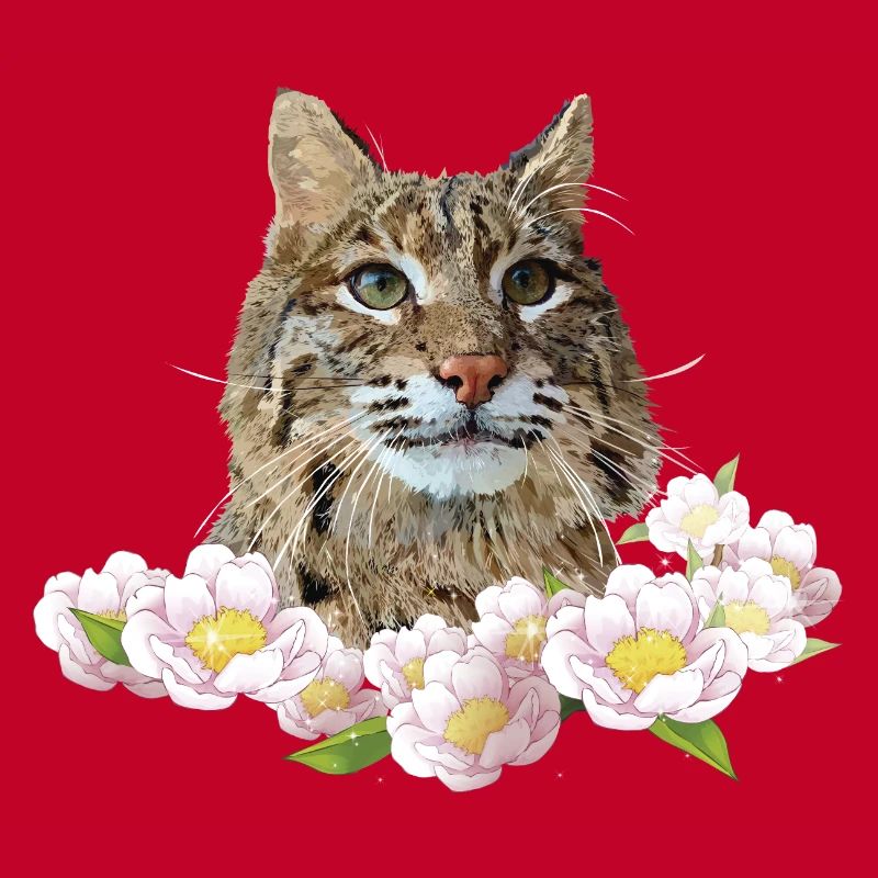 Lynx