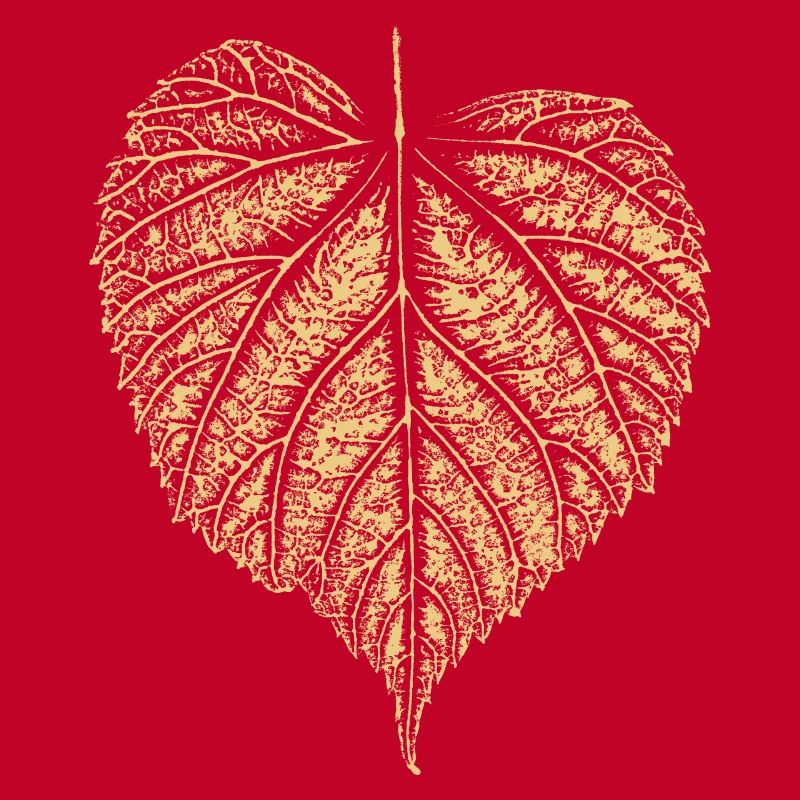Lime Leaf / Lime Leaf - NATURE & Forest