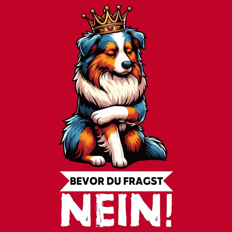 Bevor Du Fragst Australian Shepherd Aussie Aussie