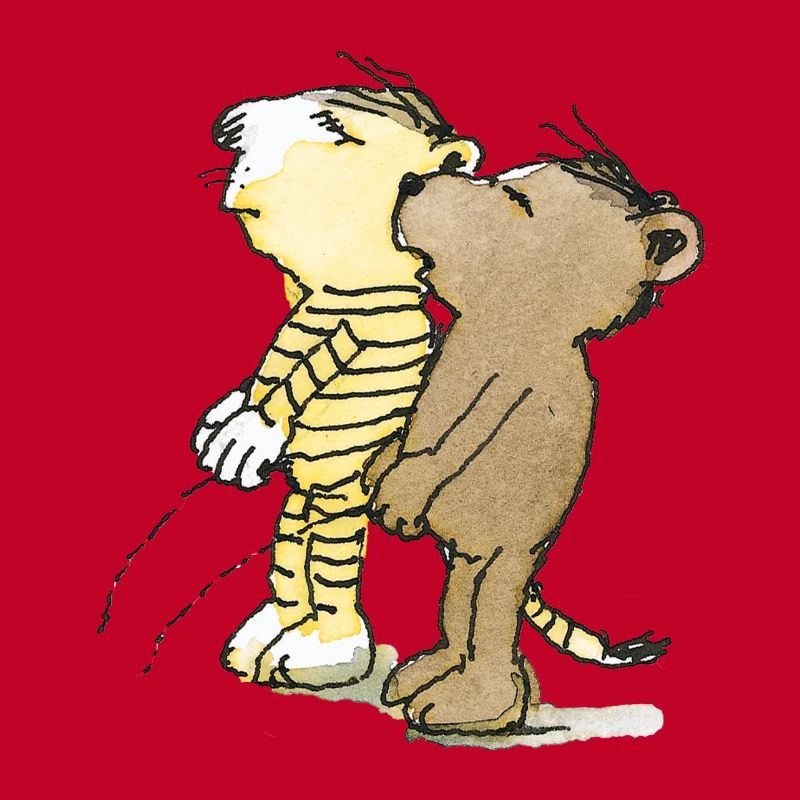 Janosch Tiger und Bär Pullern