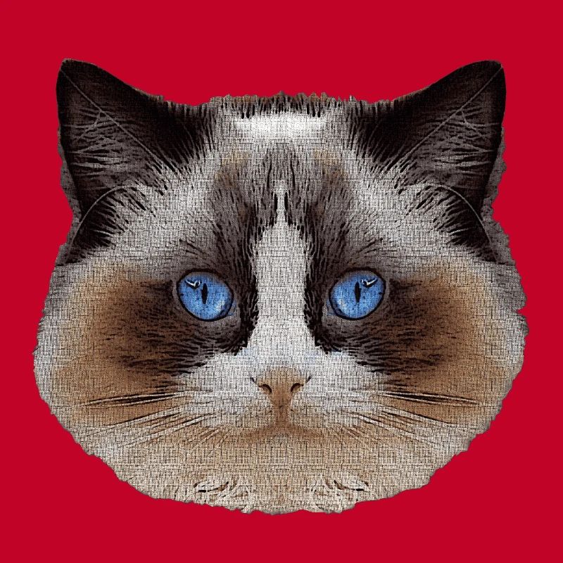 Ragdoll, samtpfote, Katzen design