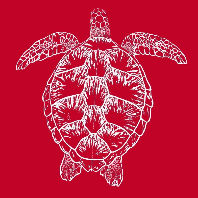 Turtle white2
