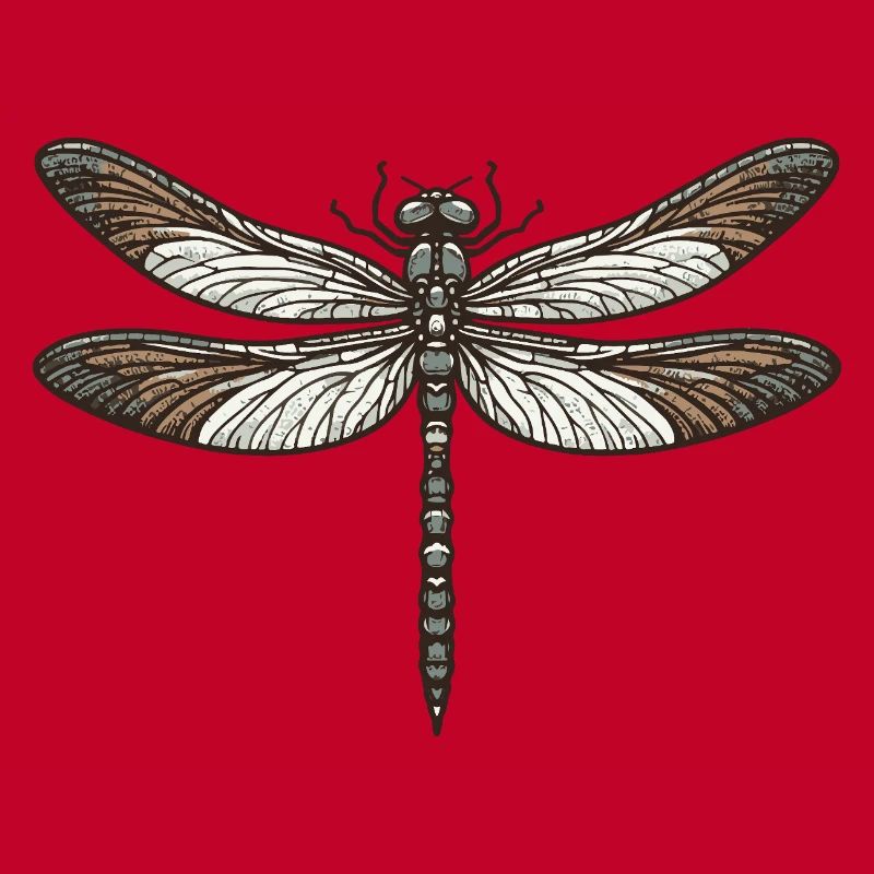 Libellule