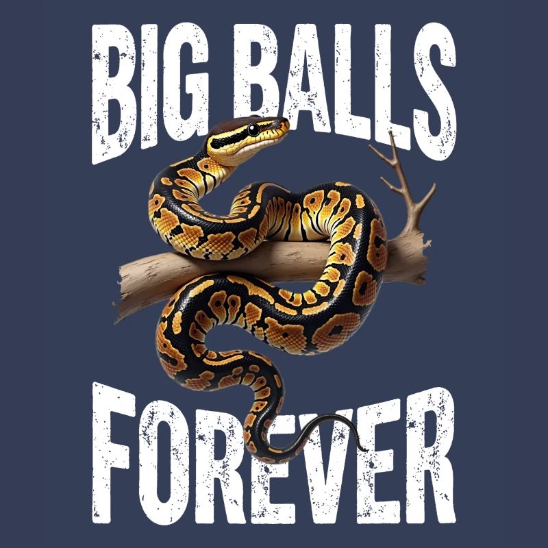 Python roi Serpents Amateurs de terrarium Python