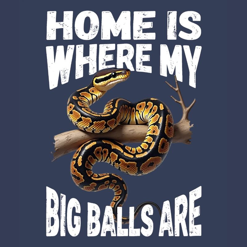 Python roi Serpents Amateurs de terrarium Python