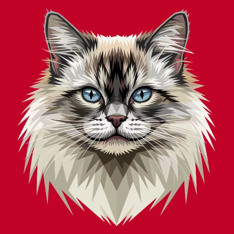 Chat Birman Chat Birman Sacré Chat Birman Mignons Chats Birman