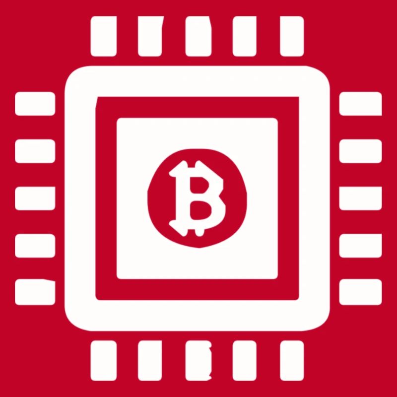 Bitcoin processor