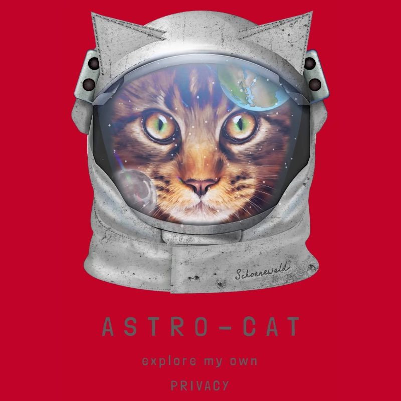 | de chat de l’espace Chat astronaute dans l’espace