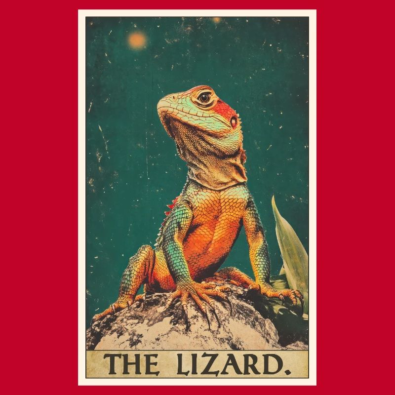Lizards Lizard
