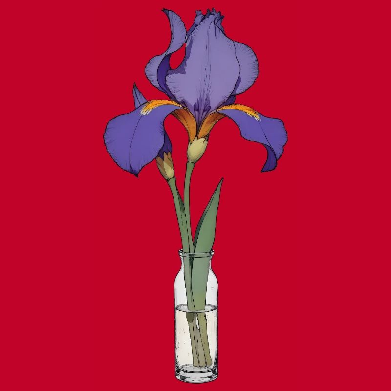 Iris