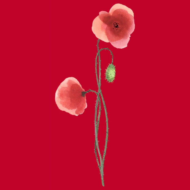 Blume: roter Mohn
