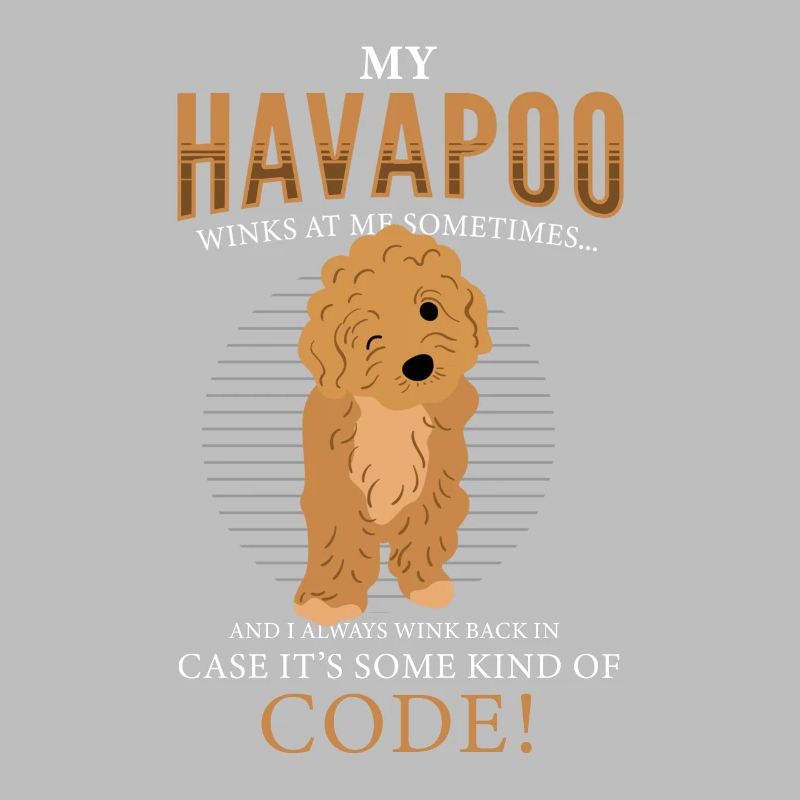 havapoo, havapoo poodle hybrid, havapoo humor,
