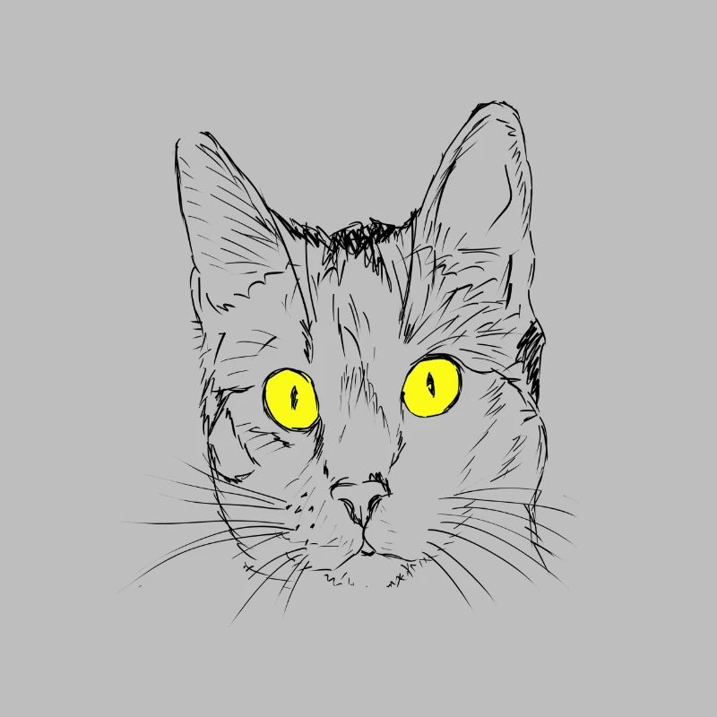 Chat, gueule de bois, amant de chat, tête de chat, oeil de chat