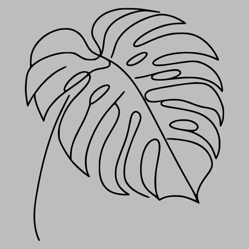 Monstera