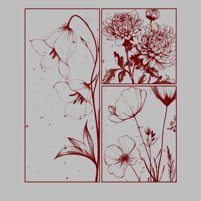 Campanula Chrysantheme Blumen Botanik Geschenk