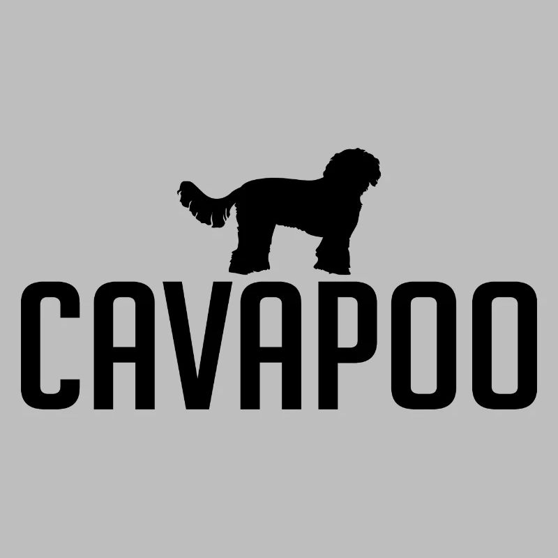 Cavapoo Dog races Chiens Wilsigns