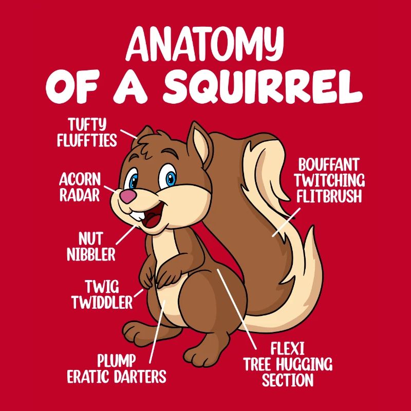 Anatomie eines Eichhörnchens