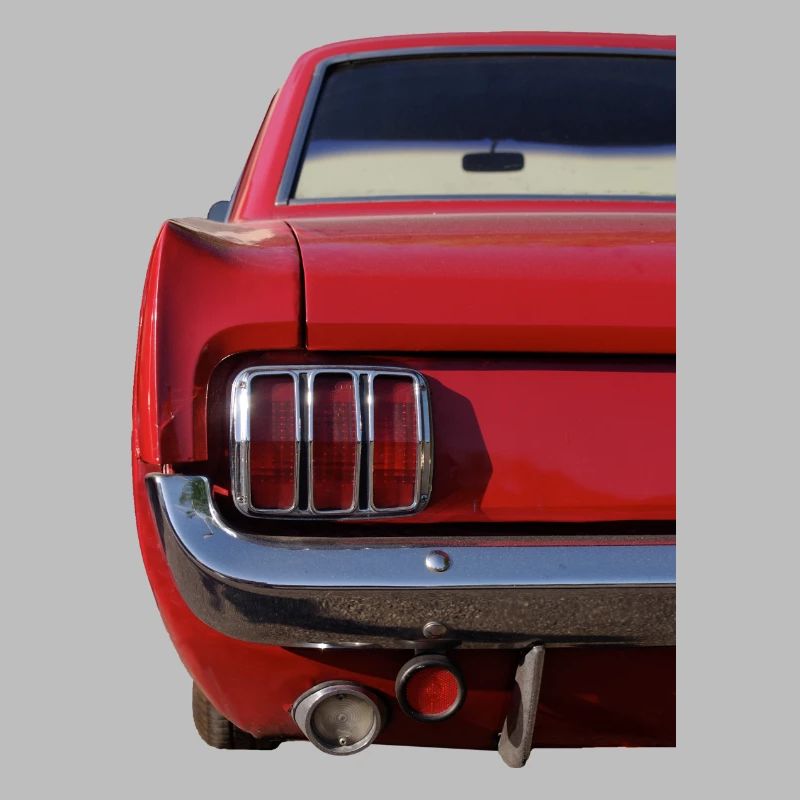 Sixties- back