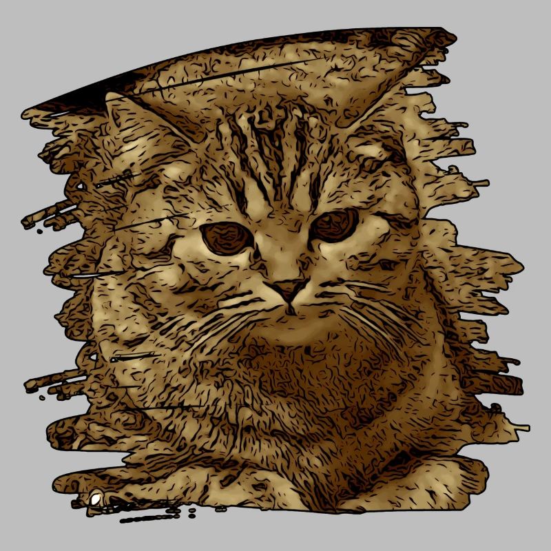 Visage de chat5