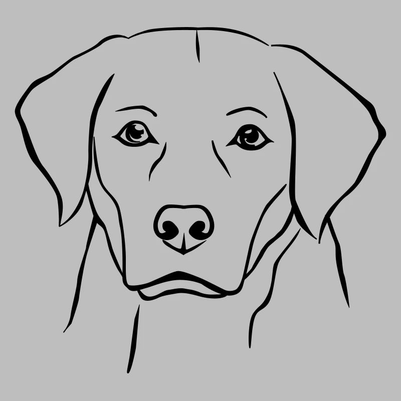 Chien Labrador