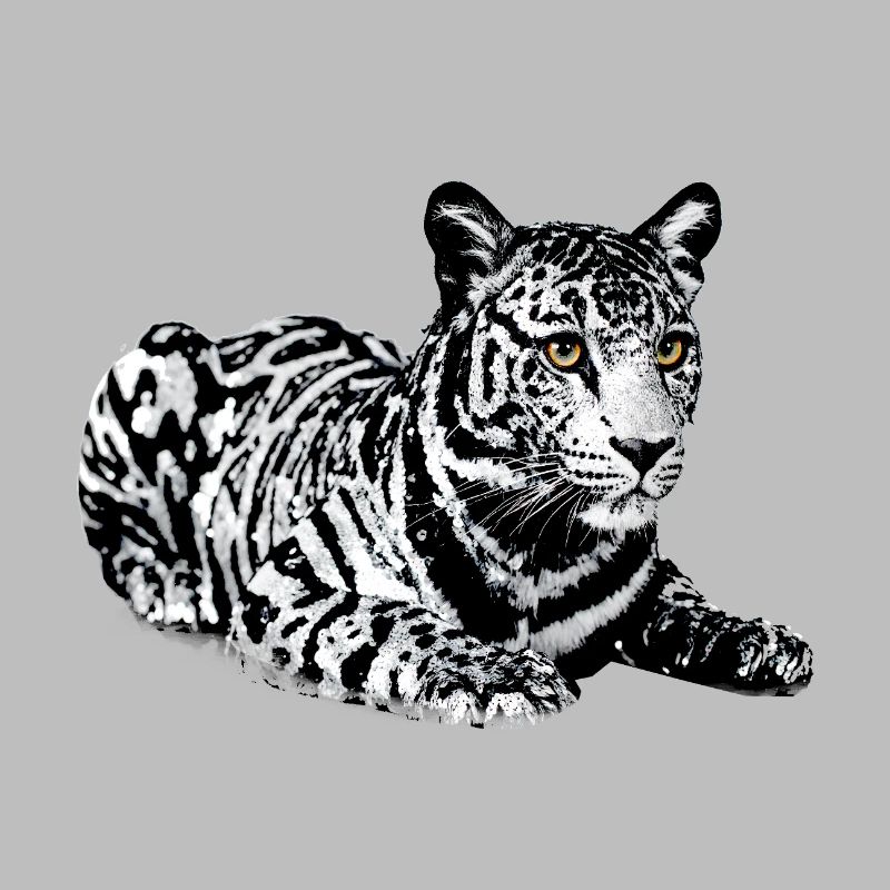 Tiger,leopard,sequins,glitter,black and white