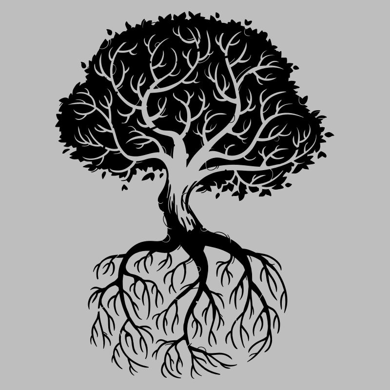 Roots
