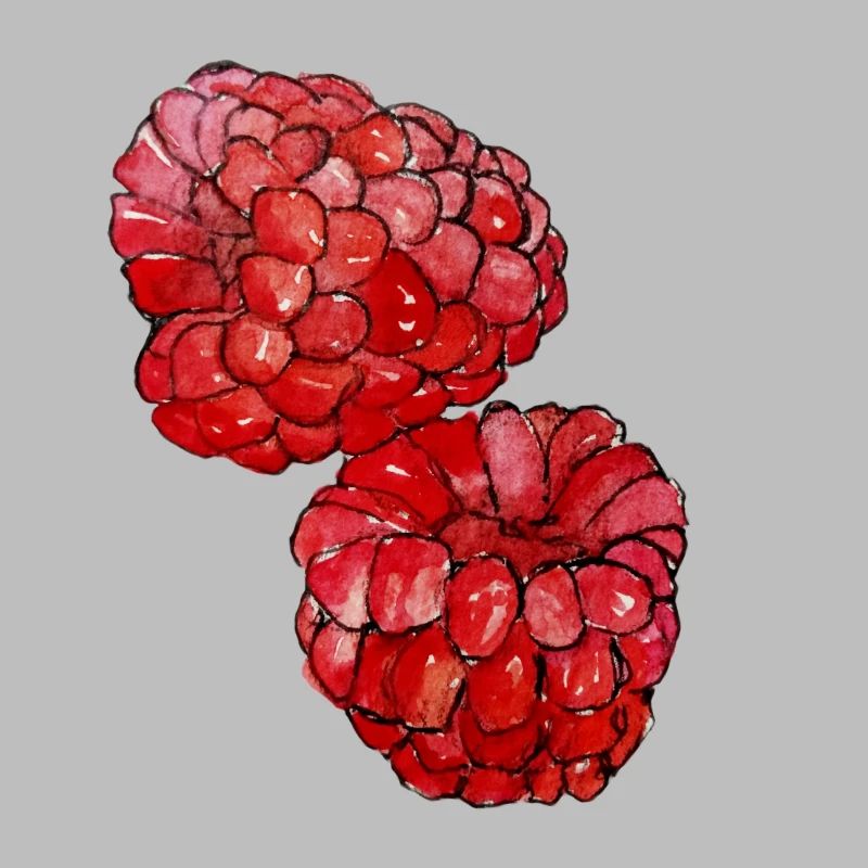Himbeeren 
