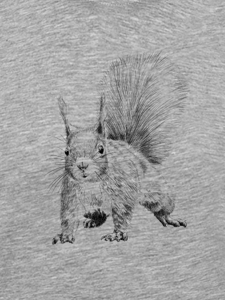 squirrel