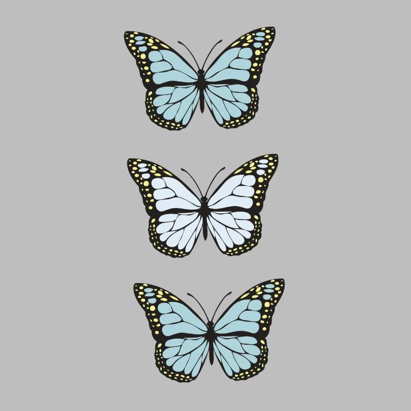Collection de papillons