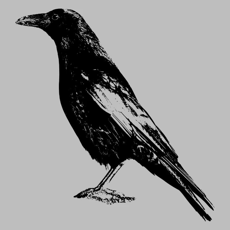 Crow