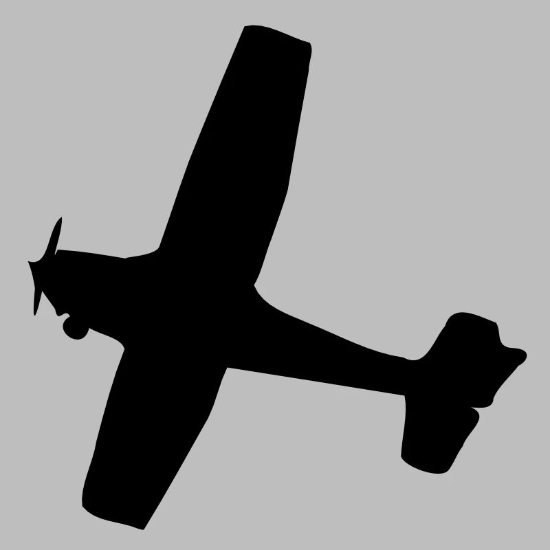 Flugzeug