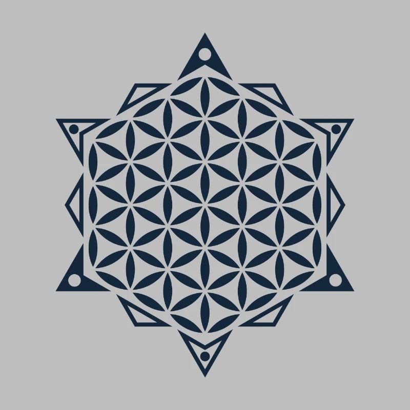 Blume des Lebens, Heilige Geometrie