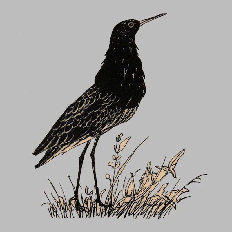 bird
