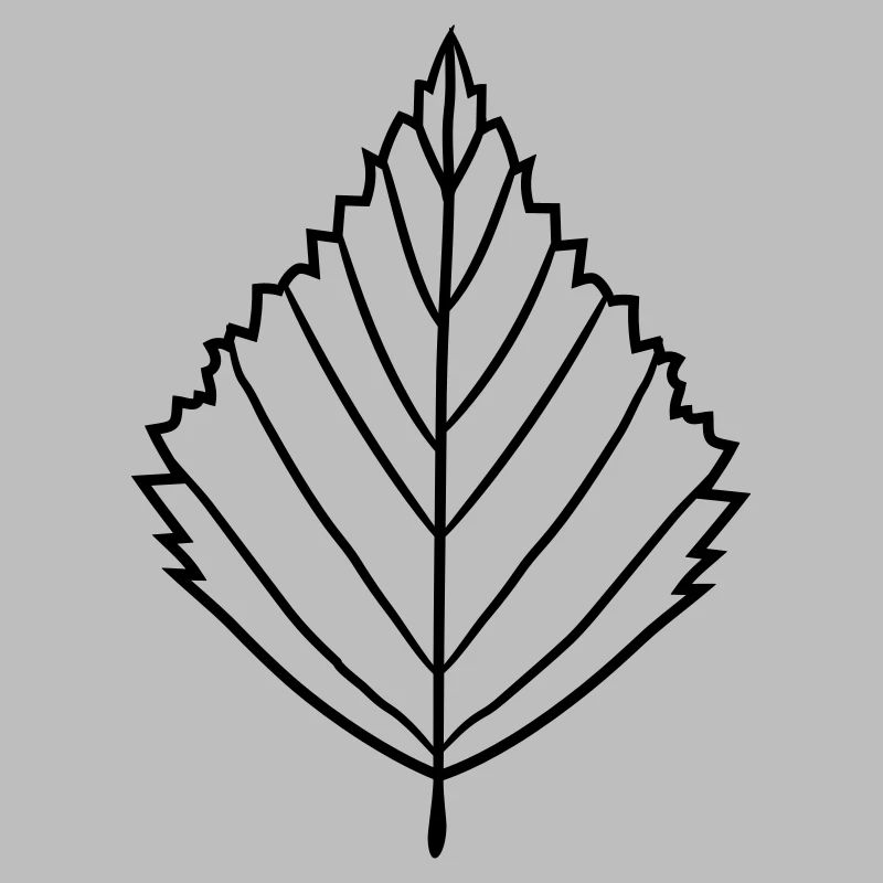 silhouette birch leaf tree plant shape clip art desig